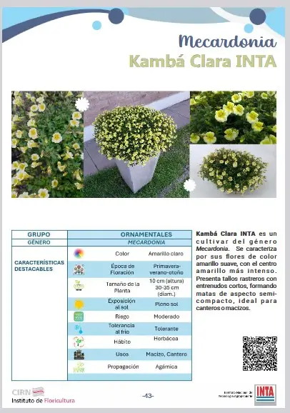Mecardonia Kamba Clara INTA