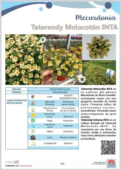 Mecardonia Tatarendi Melocoton INTA