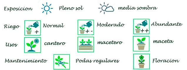 Caracteristicas generales de la especie